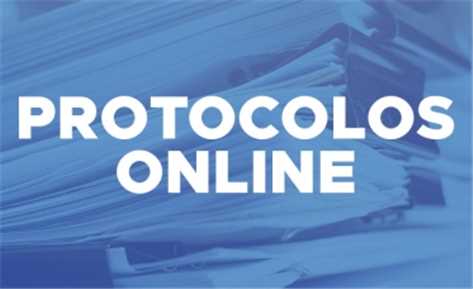 Protocolo online